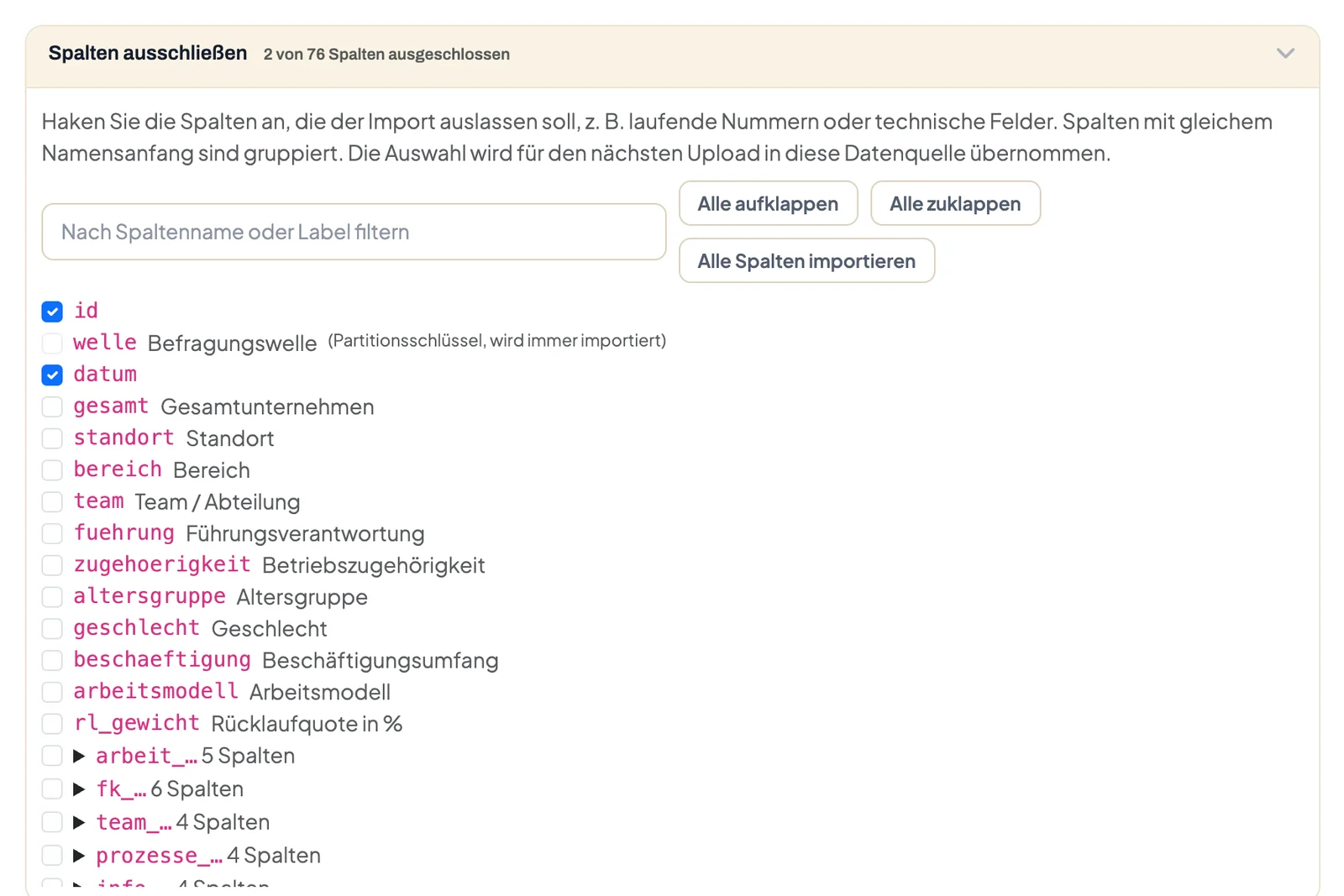 Abschnitt Spalten ausschließen in der Upload-Vorschau mit gruppierten Spalten und Filterfeld