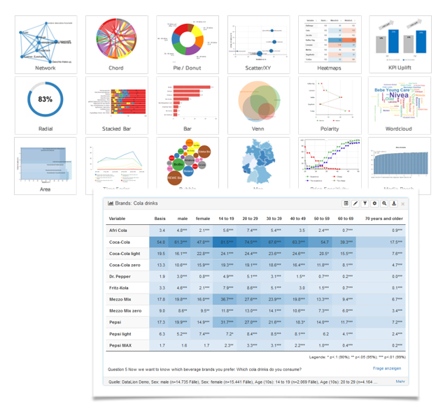 DataLion Dashboard-Software, data analysis tools, KPI dashboard update