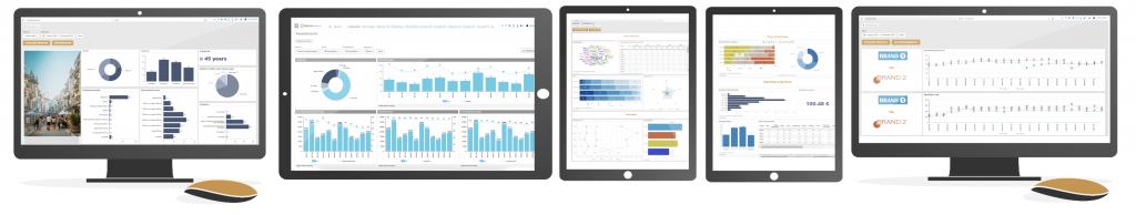 DataLion quick dashboard package